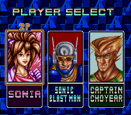 Sonic Blast Man II